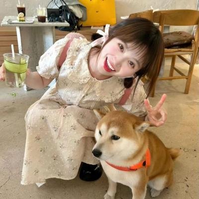 应求之爱